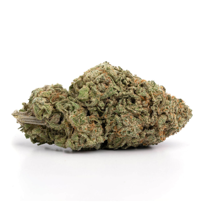 Blue Dream reigns supreme at BayFarmz Blueberry x Haze creates the most versatile sativa-dominant hybrid for creative focus, stress obliteration, and sweet berry terps. Bay Area legend delivers cerebral euphoria meets body calm without sedation—perfect all-day SF staple.