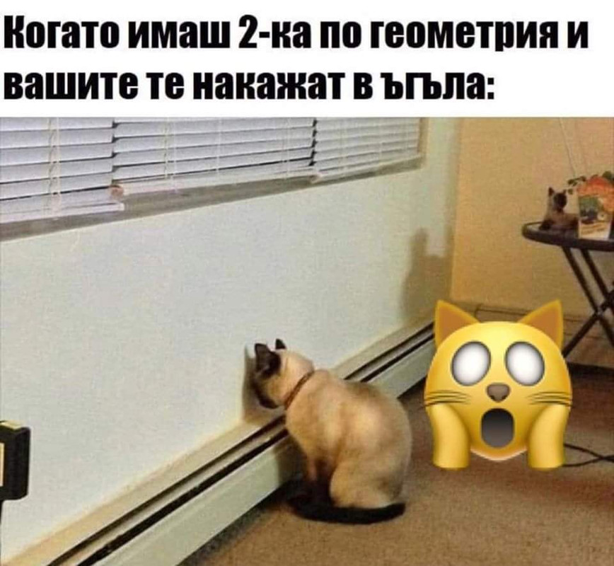 96845191_10218780446605523_6204479789814775808_n