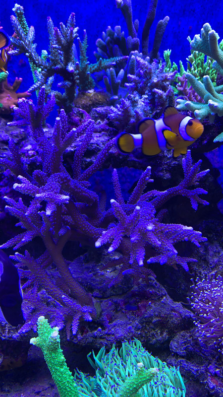 78B54D68-195B-4B59-A926-331DF4FC1073