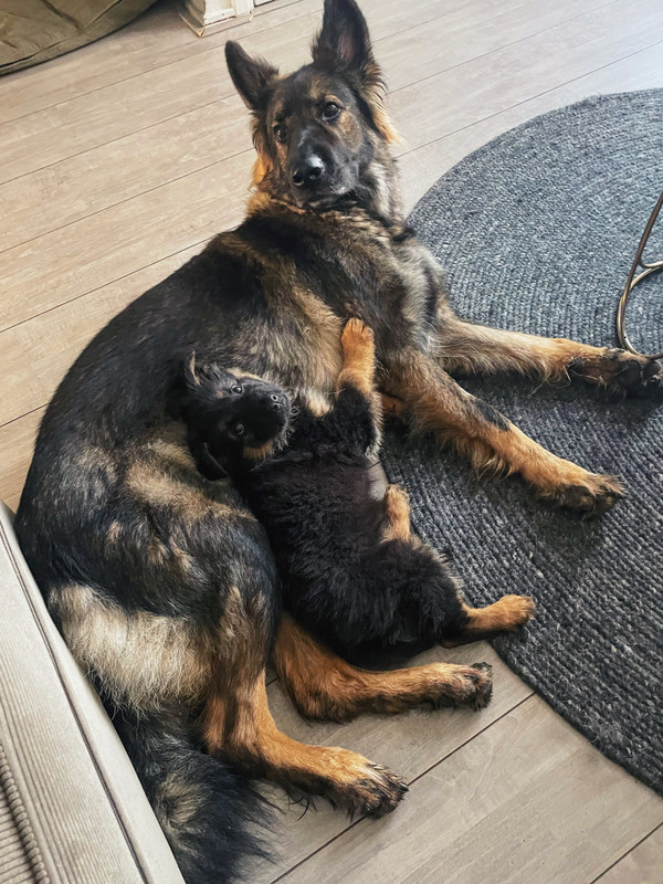 10F45BF0-0FE9-4339-BBDB-08C4B5AD1706