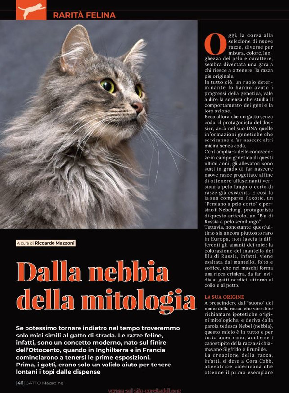 Ga Ma Ott-Nov 2021 (7)