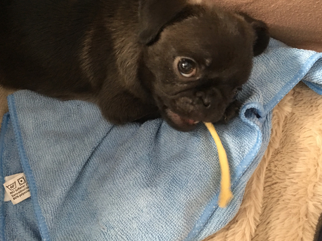 5F713C7D-898C-4AB4-BB7C-F983A929629C