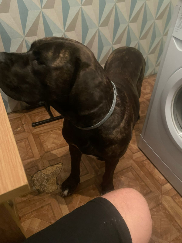 9A6732C0-72B3-4D58-B45D-156CA7C99048