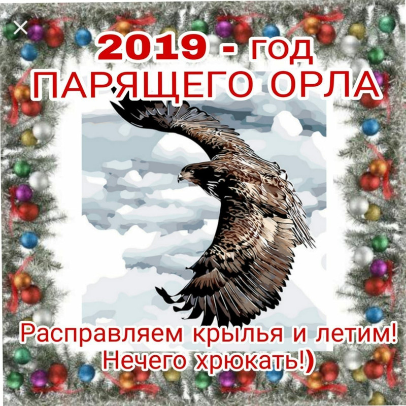 год орла