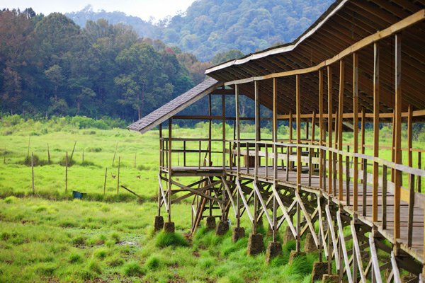 Penangkaran rusa di Kampung Cai Ranca Upas