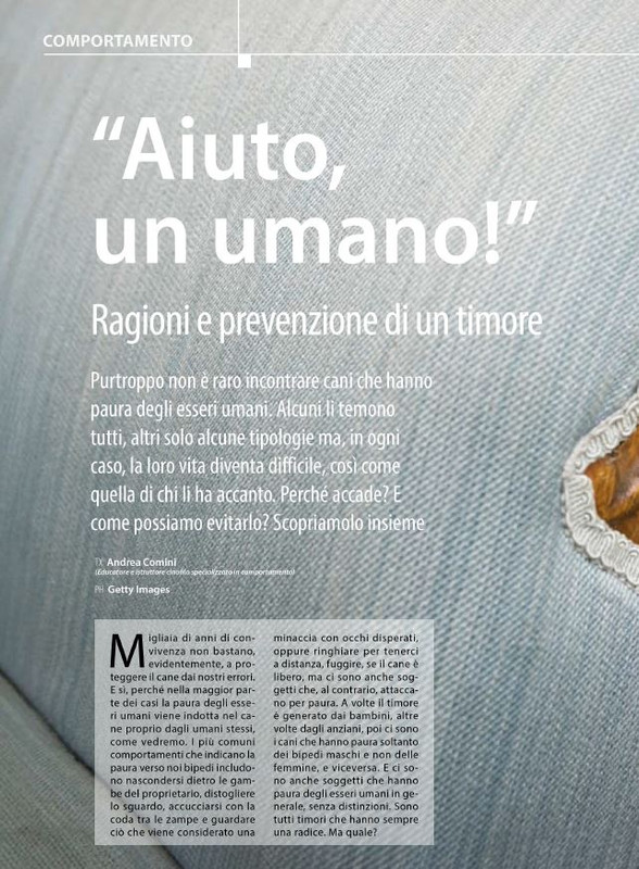 Il M C Mar-Apr 2024 (9)