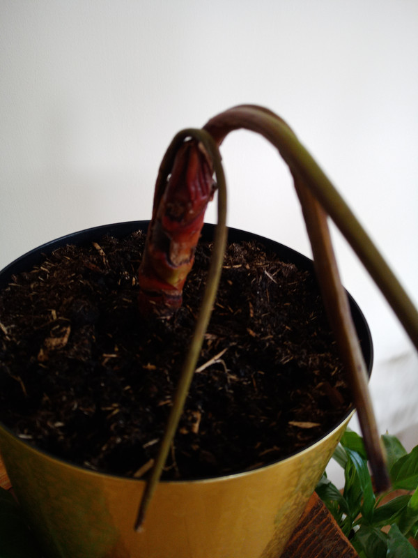 2024-04-15T16_34_57 02_00