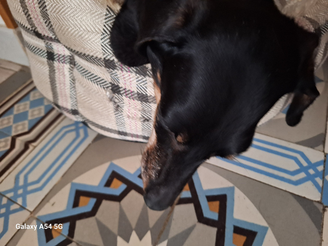 [Image: 20240629-211055.jpg]