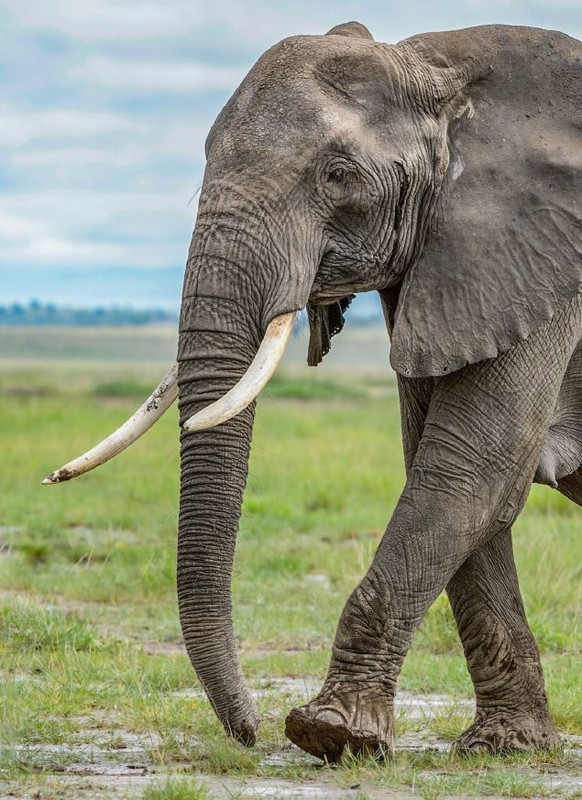 Foc Wil - Giu 2024 (9)