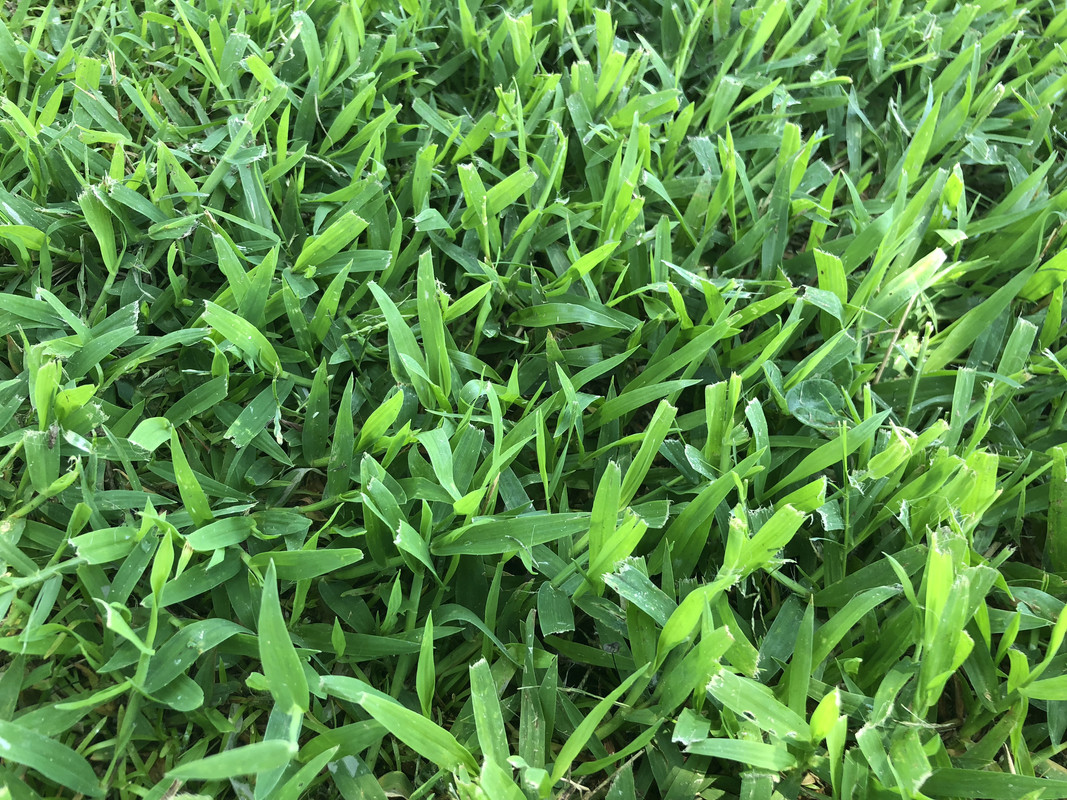 8CB0822D-0366-4038-AC28-1CCACB994335