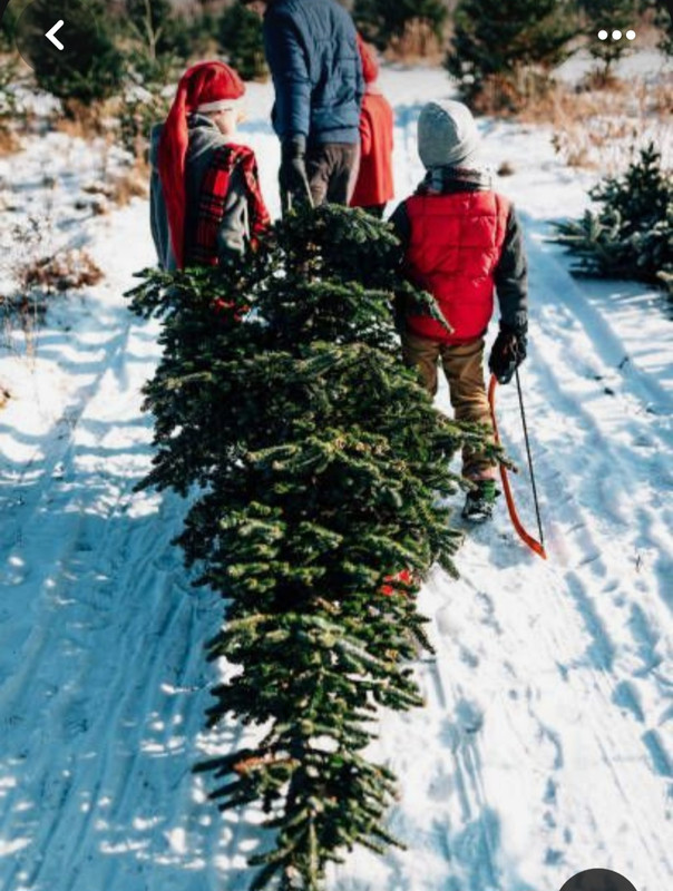 Screenshot_20231211_195210_Pinterest