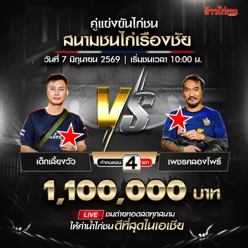 เด็กเลี้ยงวัว vs เพชรคลองโพธิ์ โปรแกรมไก่ชน สนามชนไก่เรืองชัย 7 มิถุนายน 2026