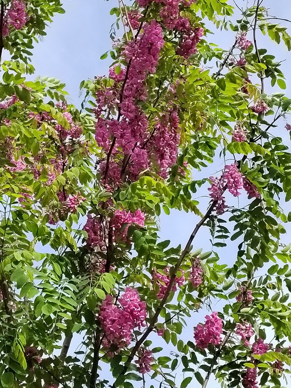 https://i.postimg.cc/WbGMgdD0/017-IMG-20230417-142410.jpg