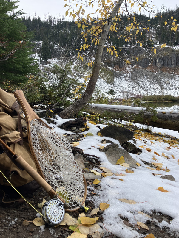 C29EB661 4AA3 4FC0 ACD4 E7A2AF9BBB08