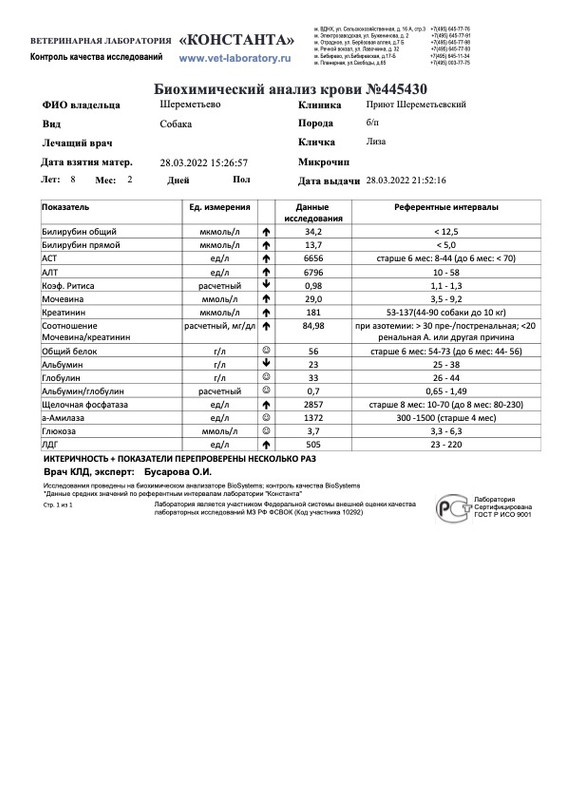 Биохимический анализ крови (445430)