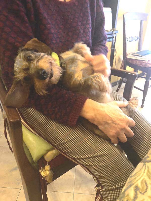 [Image: IMG-20240501-WA0041.jpg]