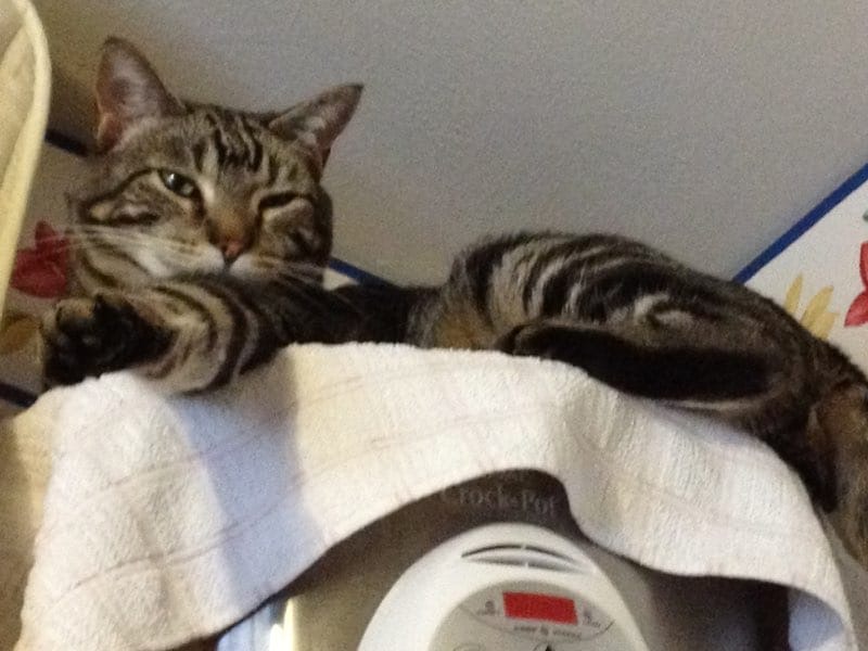 0b8d6343 e313 4faa 98d8 ffbde3fadc68