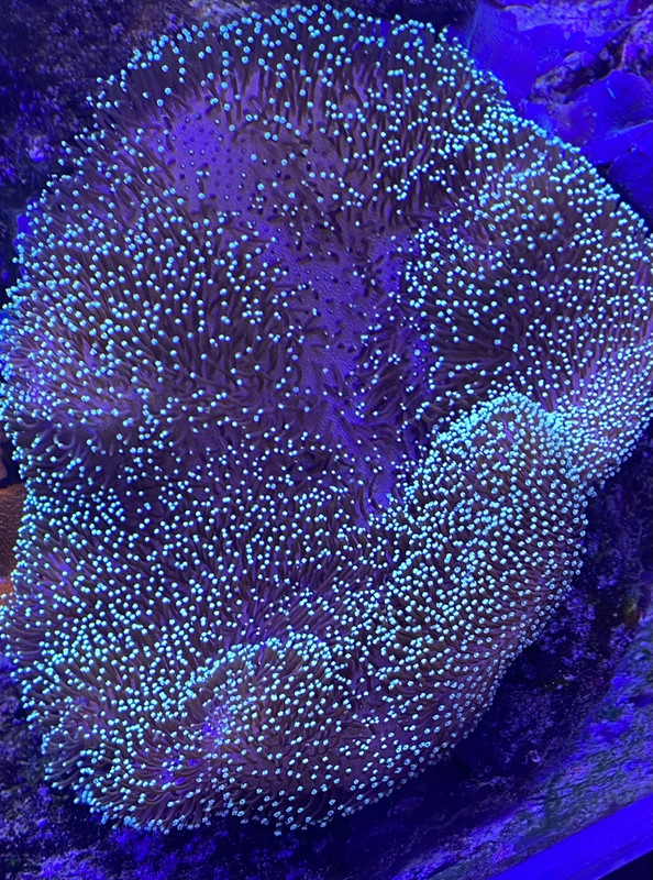 FF4DC180-232C-4320-8841-8B905B0C3EB8