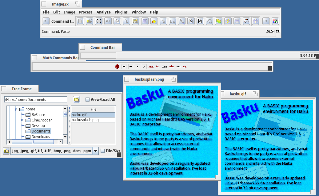 Imagej2x.png