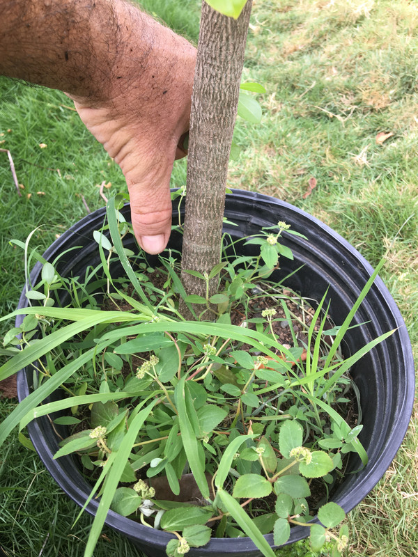 895FE5B6-A982-4706-BD3C-E3AEE960F318