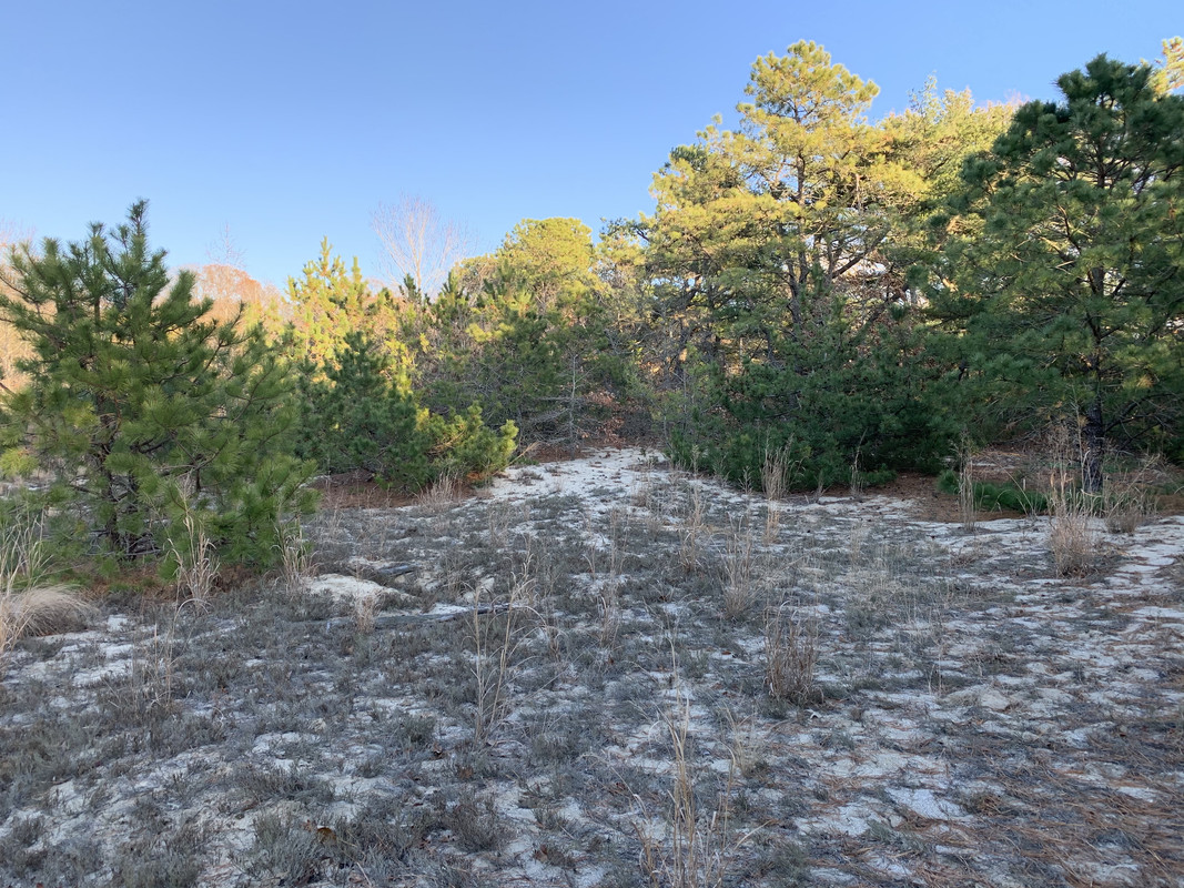 6BBEDC0A-197A-41C6-8A14-F8FF4280E6A7