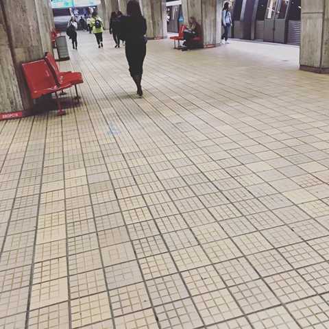 52923155_382038735948565_1309451682198847488_n_382038725948566