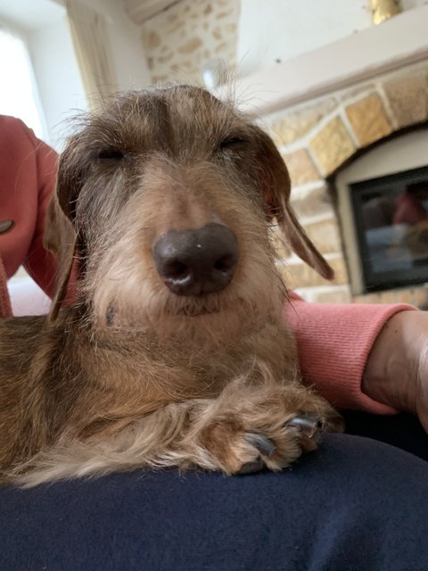 [Image: 33262-E1-B-532-C-40-C8-A130-FAF46-D59-AA3-C.jpg]