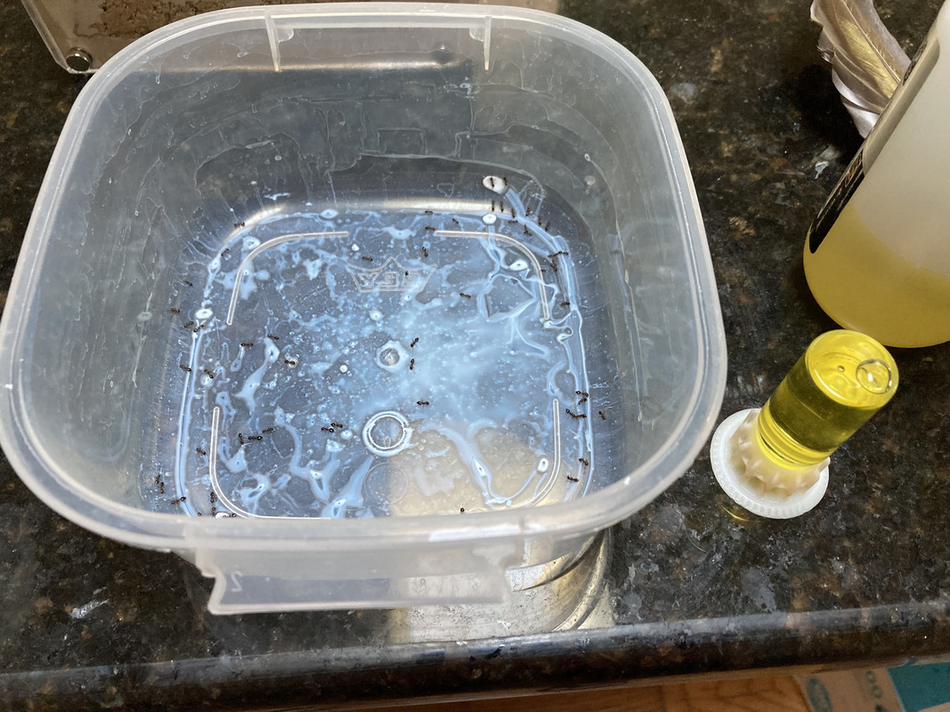 41598AA7-5DF0-4070-BAE4-2A522E68416A