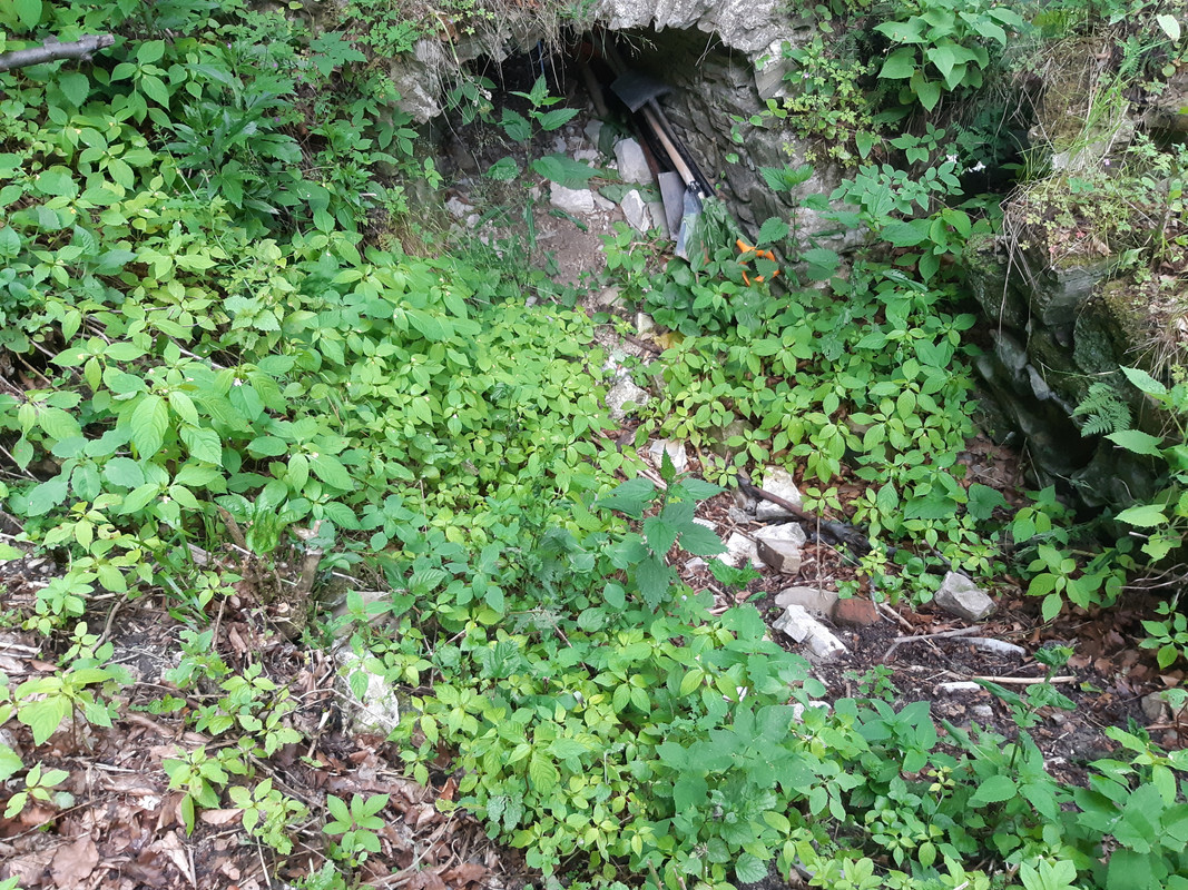 06.15 - 20220617_195014 (PiTT)