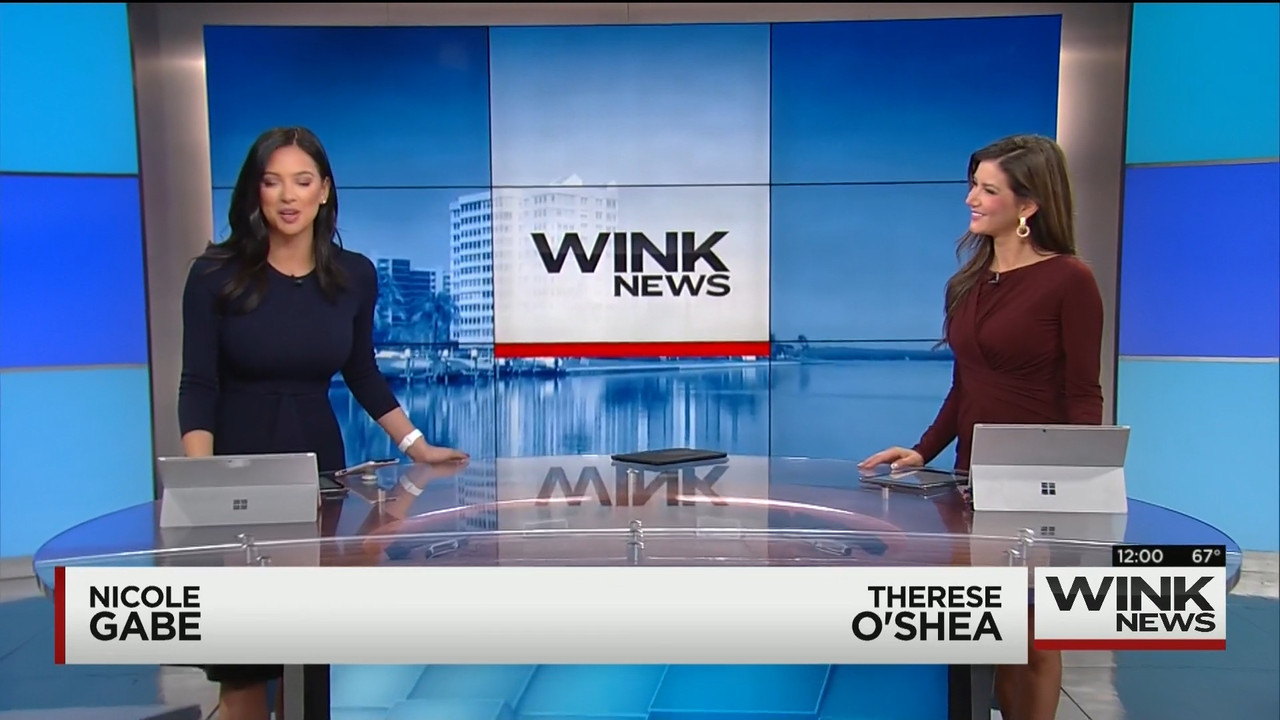 01.18 - 17.00.00 - WINK Noon News..mts_snapshot_02.58.855