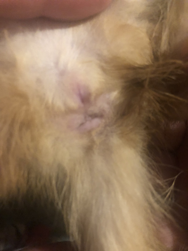 C1E0E223-2800-418A-B232-70A9DFCDF693