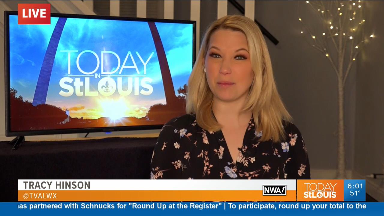 19 April - 12.00.00 - Today in St. Louis Weekend Edition. News.ts_snapshot_00.05.48_[2020.04.19_13.0
