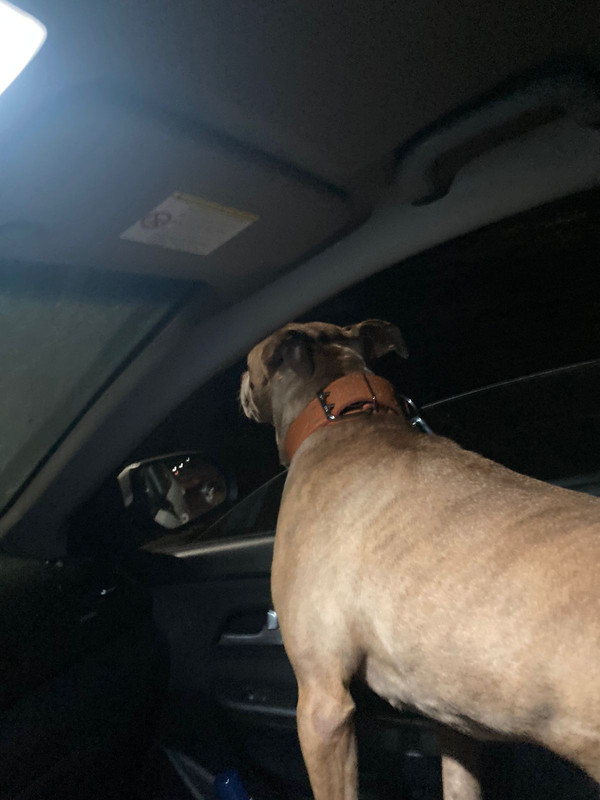 E07EB86F-100B-46C6-B4B6-86B13CB6F6E8