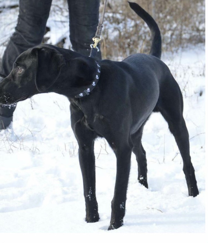 D14FA18A-0C88-4773-8AB5-7A19EB1F99DA