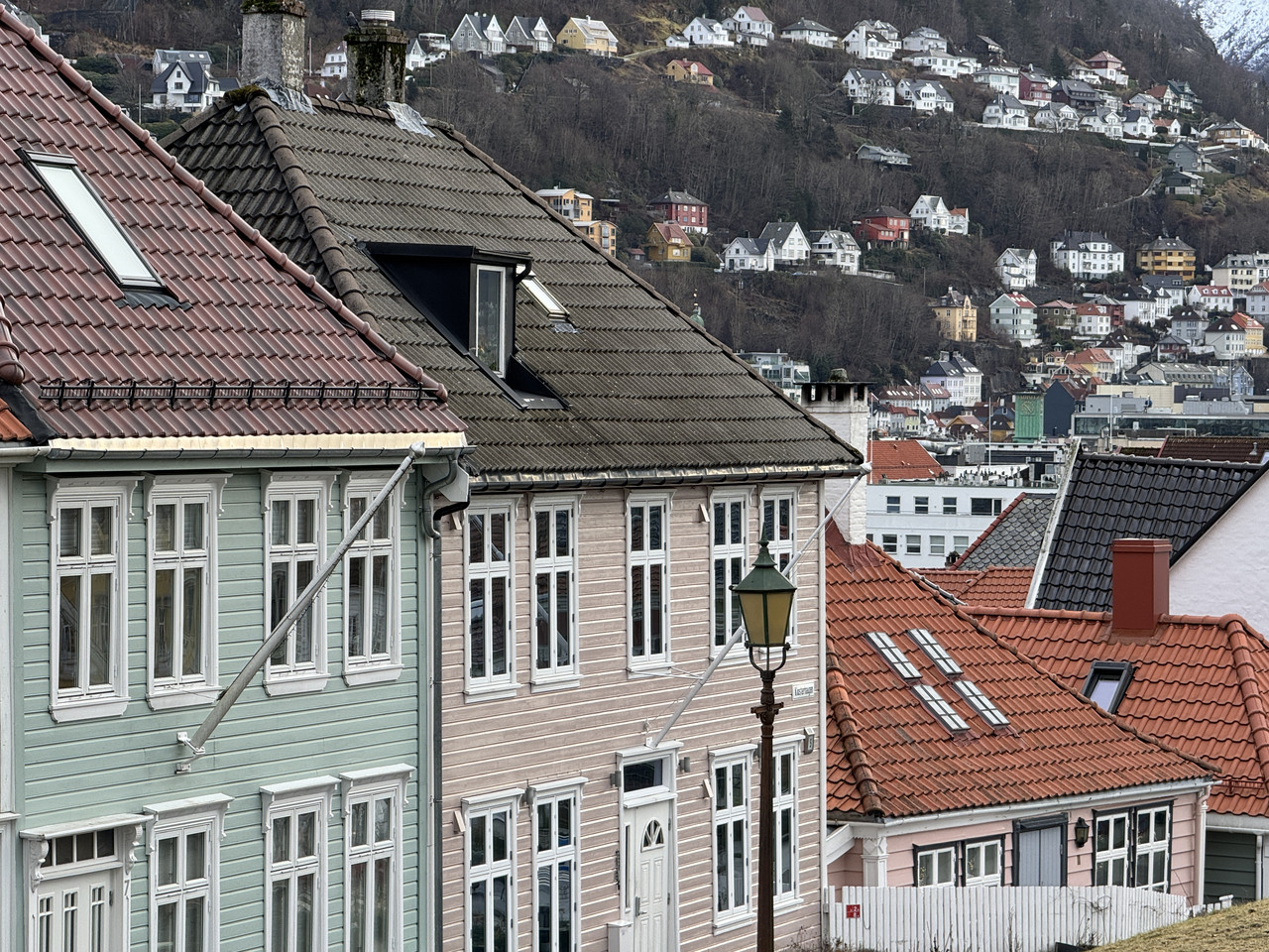 [Immagine: IMG-9701.jpg]