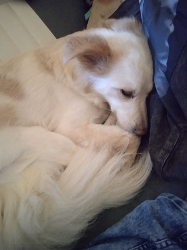 213825343_376881417104565_4262759603755289841_n