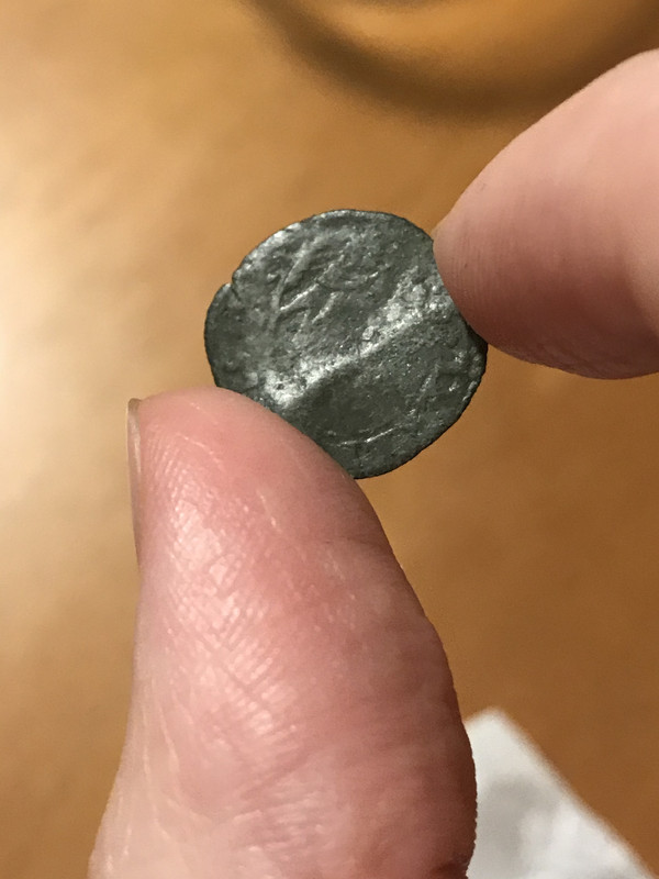 9F4F8594-8304-451D-A757-21992DAA991B