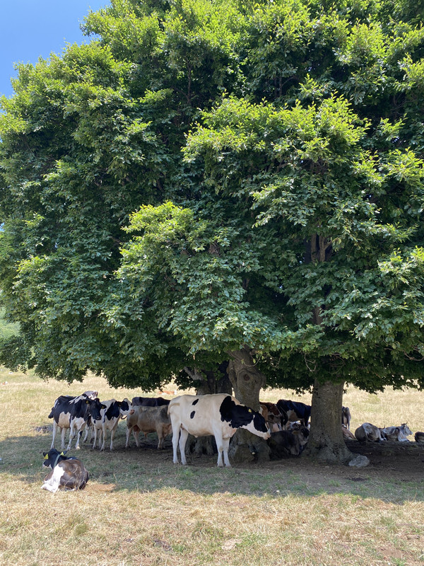 FB57B491-55A7-4412-BD6E-1695C5946756