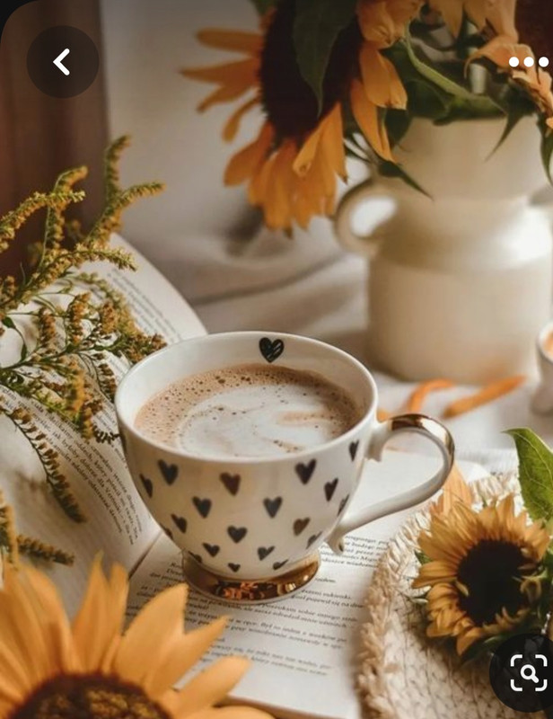 Screenshot_20230528_221821_Pinterest