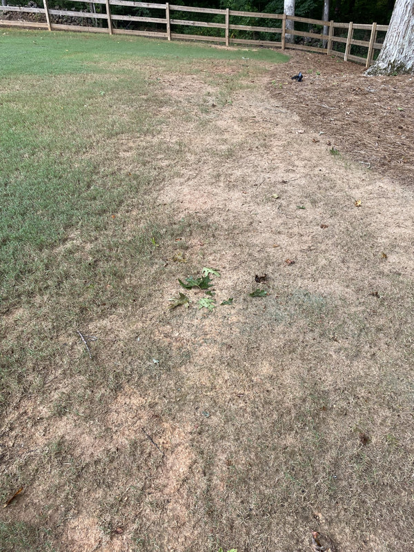 906EBAAC-EF90-4C27-9D01-E92137450B9F