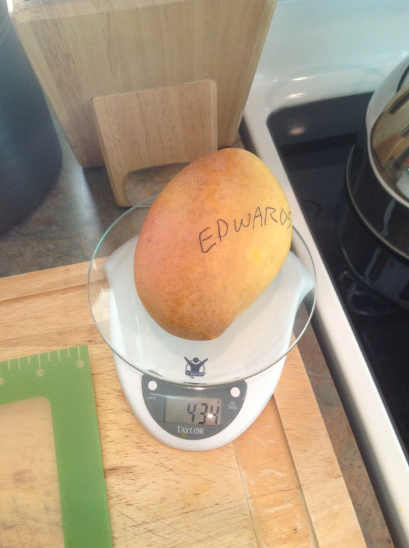 05f79474baf8a5e72272bbaf02e6ef8e