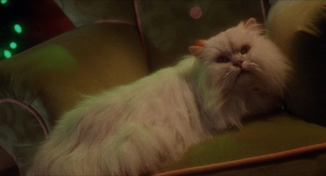 How the Grinch Stole Christmas 2000 15th Anniv (1080p x265 10bit