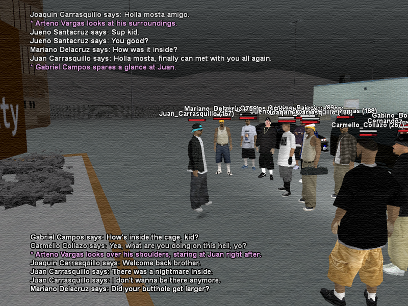 SSRoleplay251.png