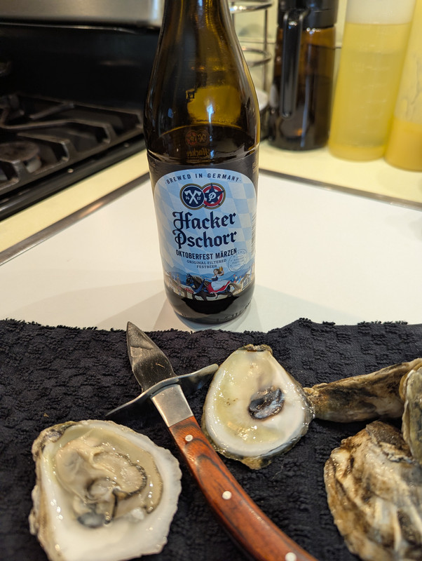 PXL 20260214 194104864