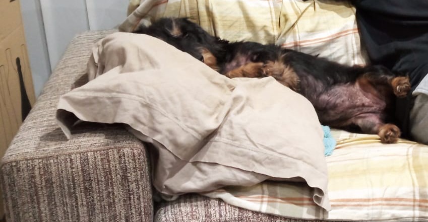 [Image: IMG-20231218-WA0002.jpg]