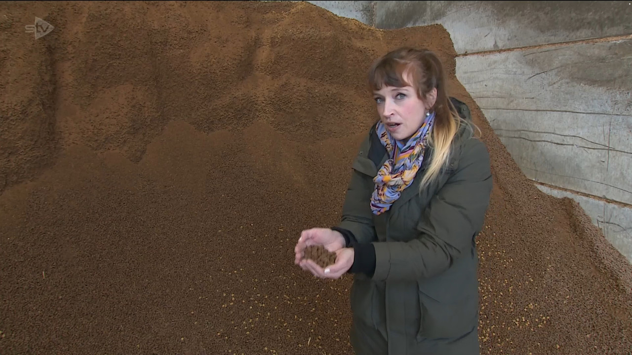 05.03 - 18.00.00 - STV News at Six. All the latest Scottish news and ....ts_snapshot_15.22.220