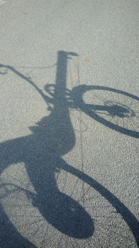 [Afbeelding: F4628855-387A-4928-8AC2-F5BBC1AC6E0D-1-105-c.jpg]