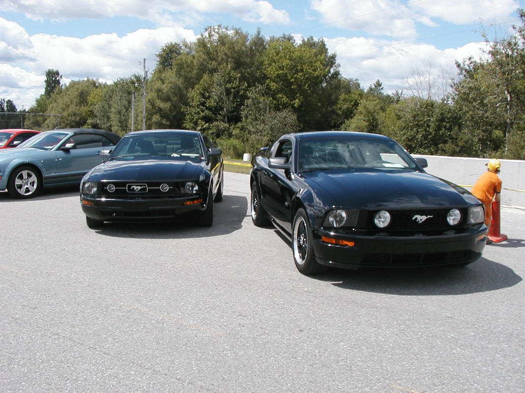 mustang - Montréal Mustang: 40 ans et + d’activités! (Photos-Vidéos,etc...) - Page 20 P8120095