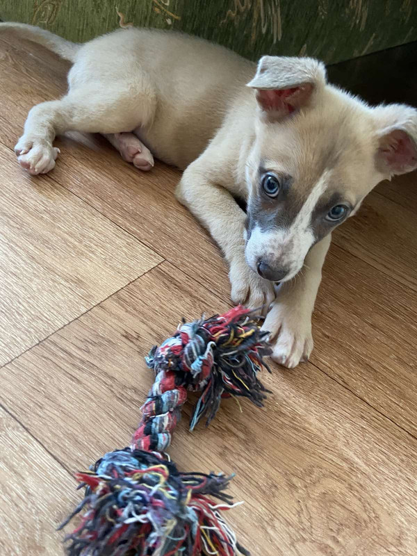 B097DD22-9305-4EA1-AE59-6BB29D600E0C