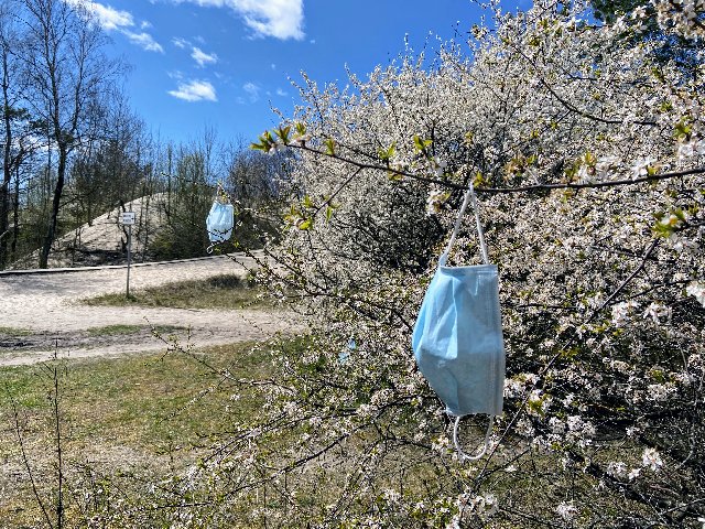 87476784-CA89-4-CFF-848-E-F6-C1-B7379-D9